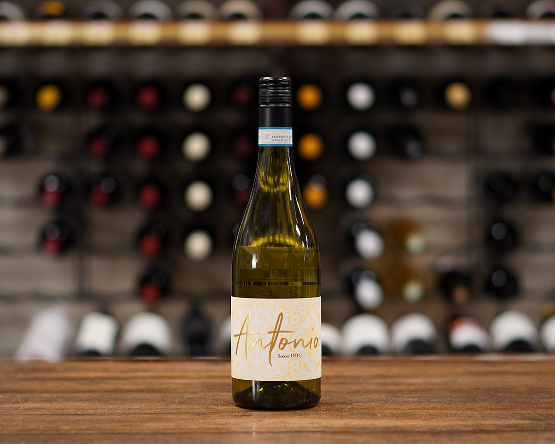 Antonio Soave 2024