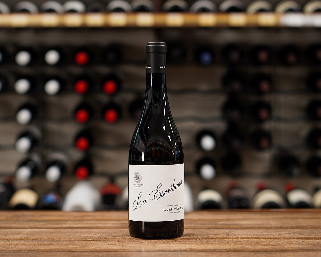 Luis Pérez 'La Escribana' Palomino de Pasto 2023