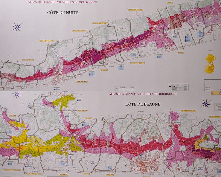 Burgundy Vineyards by Sylvain Pitiot & Pierre Poupon | 2022 Edition